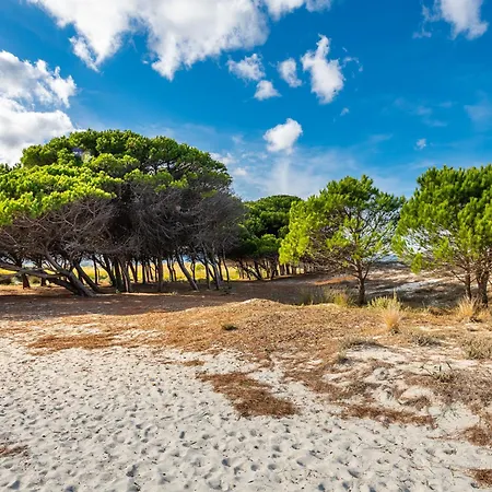 Zentral By Interhome * La Caletta